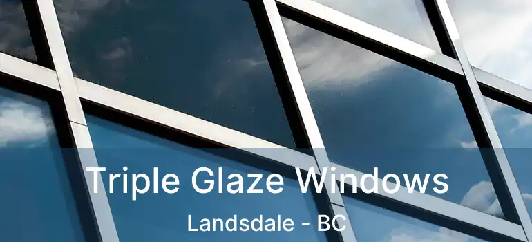  Triple Glaze Windows Landsdale - BC