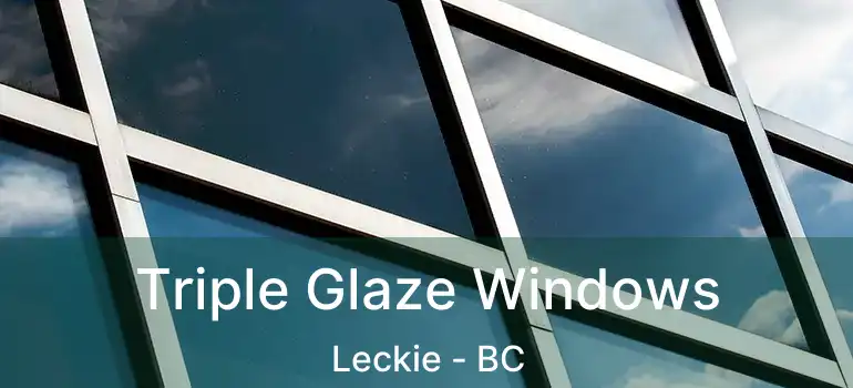  Triple Glaze Windows Leckie - BC