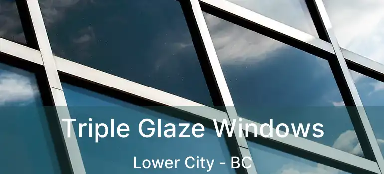  Triple Glaze Windows Lower City - BC