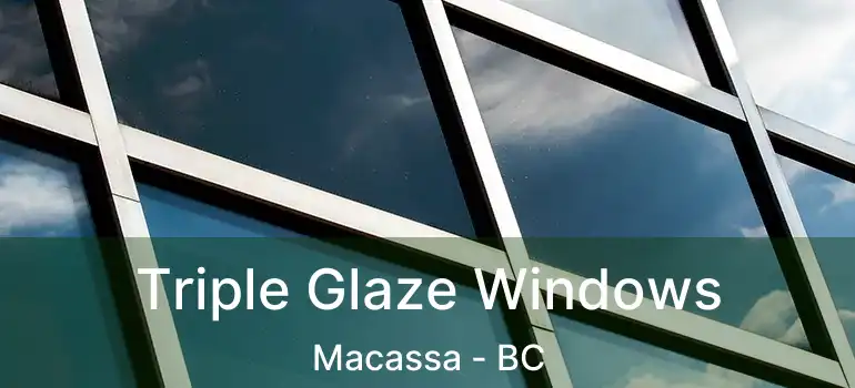  Triple Glaze Windows Macassa - BC