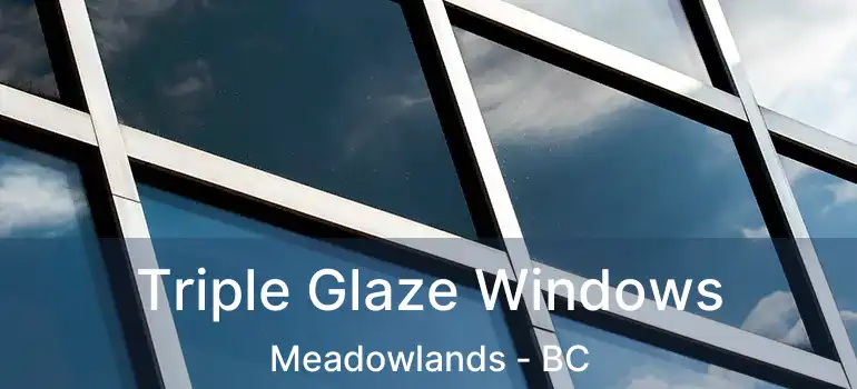  Triple Glaze Windows Meadowlands - BC