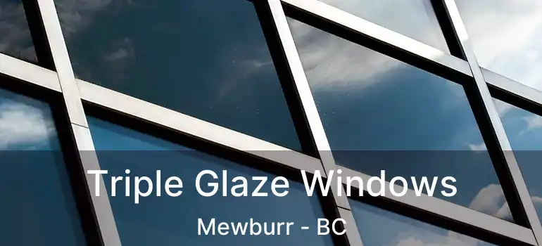  Triple Glaze Windows Mewburr - BC