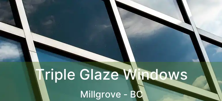  Triple Glaze Windows Millgrove - BC