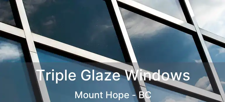  Triple Glaze Windows Mount Hope - BC