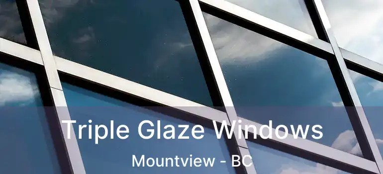  Triple Glaze Windows Mountview - BC