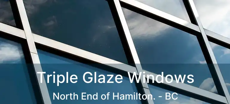  Triple Glaze Windows North End of Hamilton. - BC
