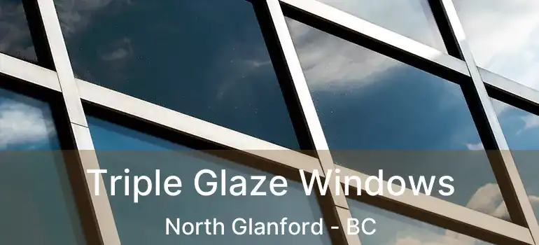  Triple Glaze Windows North Glanford - BC