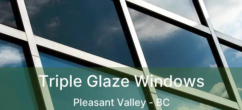  Triple Glaze Windows Pleasant Valley - BC