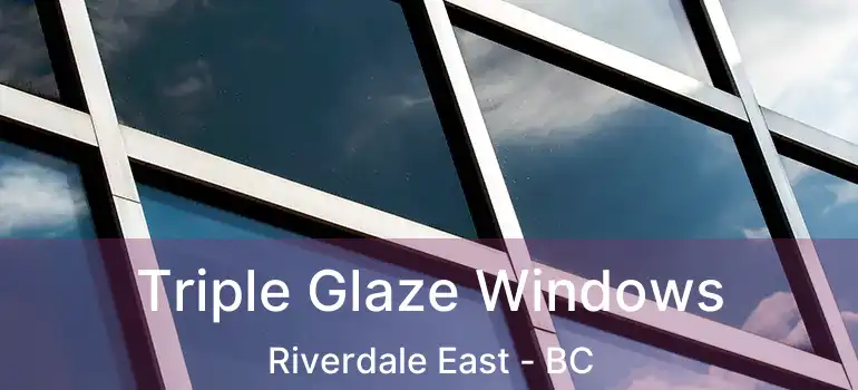  Triple Glaze Windows Riverdale East - BC