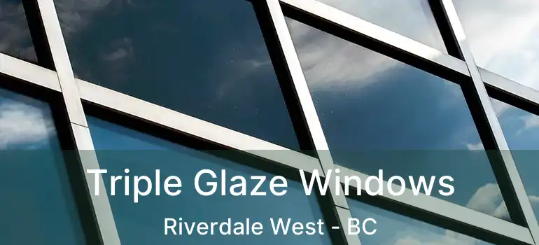 Triple Glaze Windows Riverdale West - BC