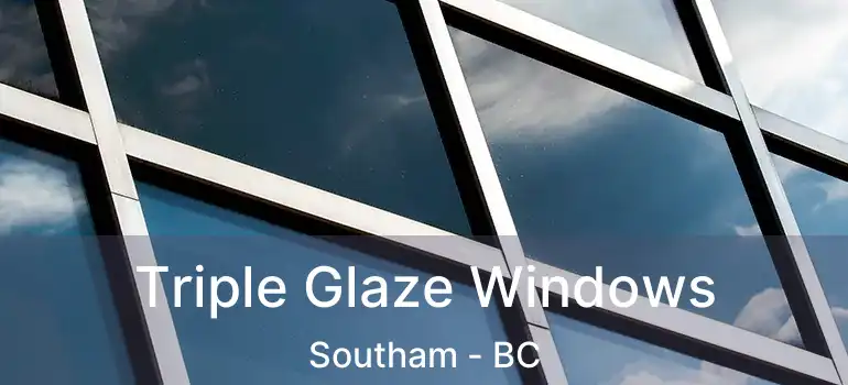  Triple Glaze Windows Southam - BC
