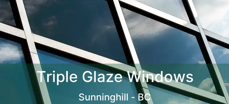  Triple Glaze Windows Sunninghill - BC