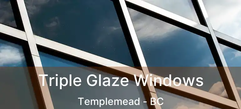  Triple Glaze Windows Templemead - BC