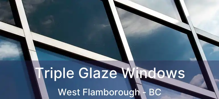  Triple Glaze Windows West Flamborough - BC