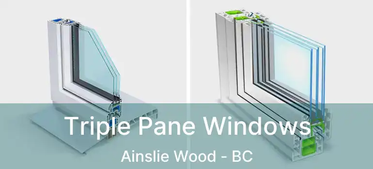  Triple Pane Windows Ainslie Wood - BC