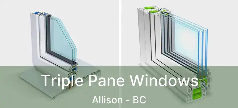  Triple Pane Windows Allison - BC