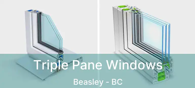  Triple Pane Windows Beasley - BC
