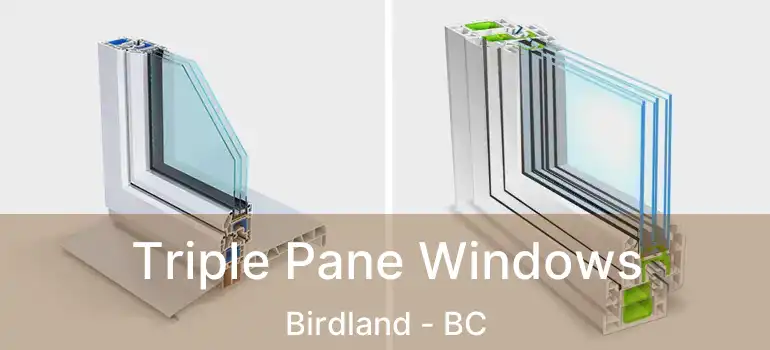  Triple Pane Windows Birdland - BC