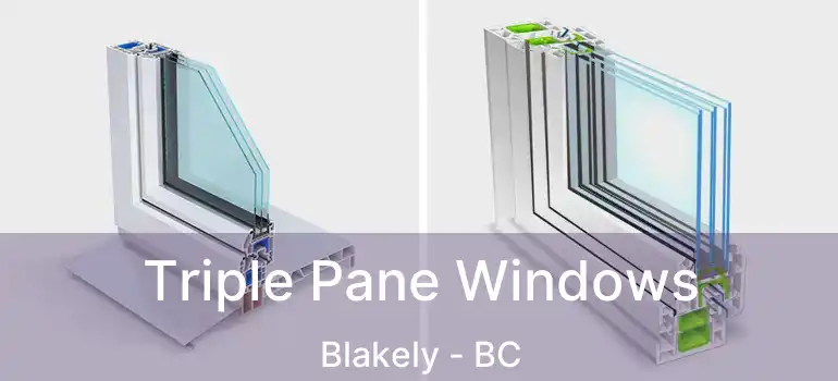  Triple Pane Windows Blakely - BC