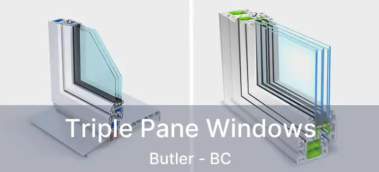  Triple Pane Windows Butler - BC