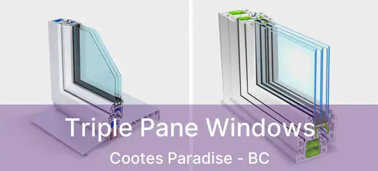  Triple Pane Windows Cootes Paradise - BC