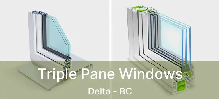  Triple Pane Windows Delta - BC
