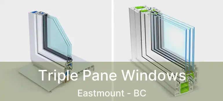  Triple Pane Windows Eastmount - BC