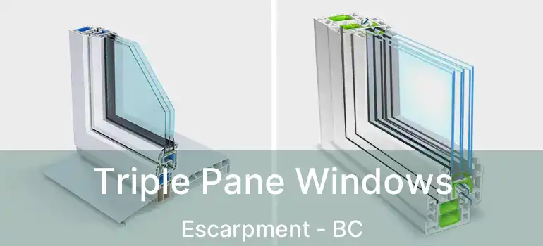  Triple Pane Windows Escarpment - BC
