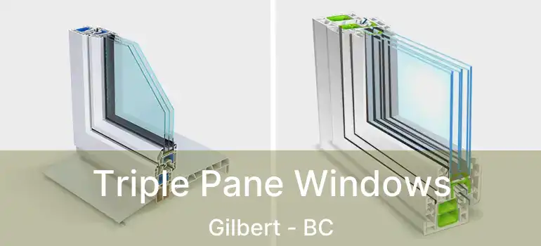  Triple Pane Windows Gilbert - BC