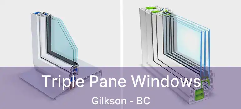  Triple Pane Windows Gilkson - BC
