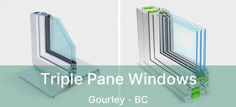  Triple Pane Windows Gourley - BC