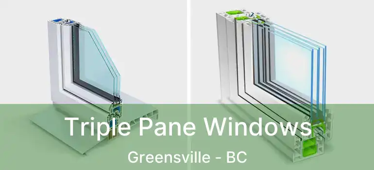  Triple Pane Windows Greensville - BC