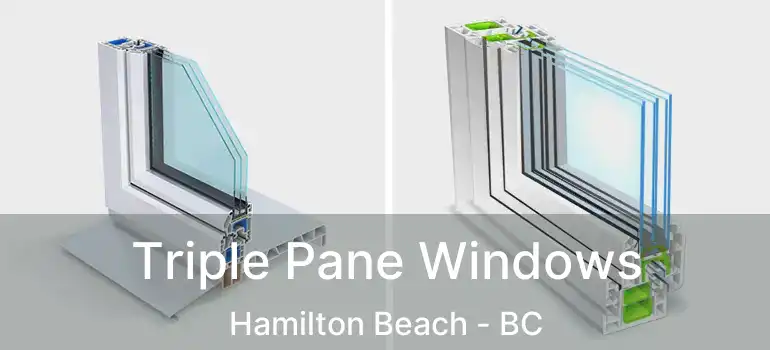  Triple Pane Windows Hamilton Beach - BC