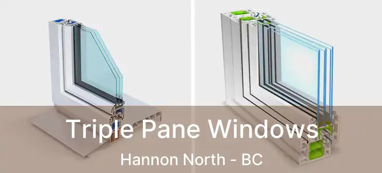  Triple Pane Windows Hannon North - BC
