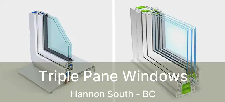  Triple Pane Windows Hannon South - BC
