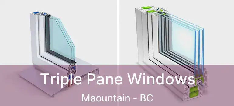  Triple Pane Windows Maountain - BC