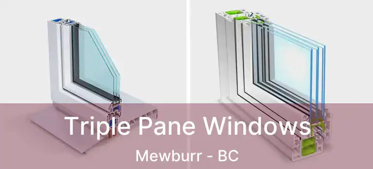  Triple Pane Windows Mewburr - BC