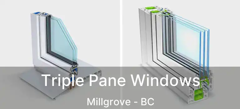  Triple Pane Windows Millgrove - BC
