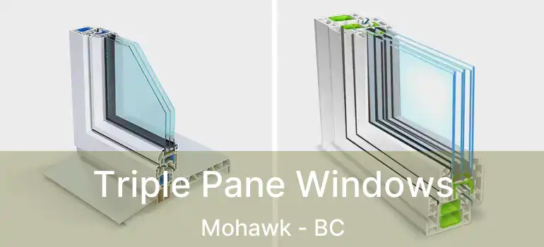  Triple Pane Windows Mohawk - BC