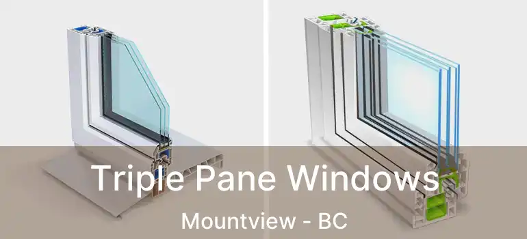  Triple Pane Windows Mountview - BC