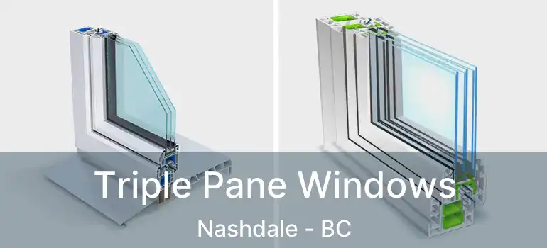  Triple Pane Windows Nashdale - BC