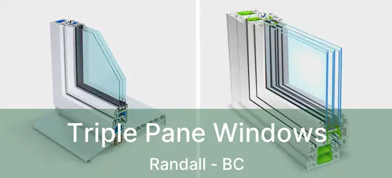  Triple Pane Windows Randall - BC