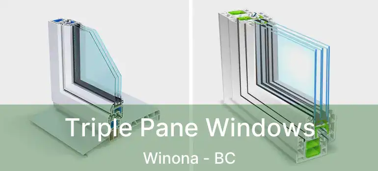  Triple Pane Windows Winona - BC