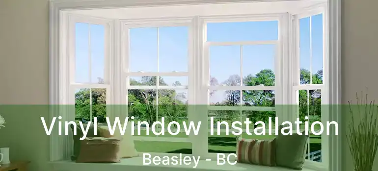  Vinyl Window Installation Beasley - BC