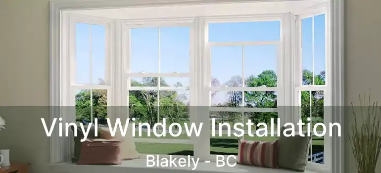  Vinyl Window Installation Blakely - BC