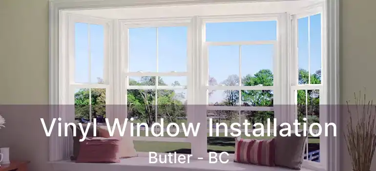  Vinyl Window Installation Butler - BC