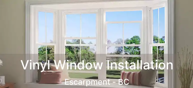  Vinyl Window Installation Escarpment - BC