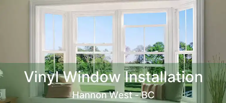  Vinyl Window Installation Hannon West - BC
