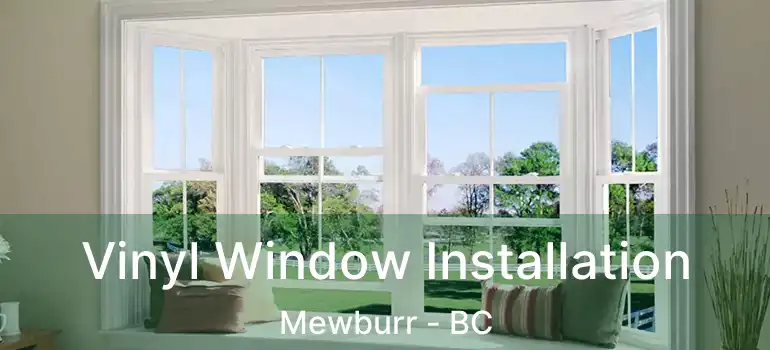  Vinyl Window Installation Mewburr - BC