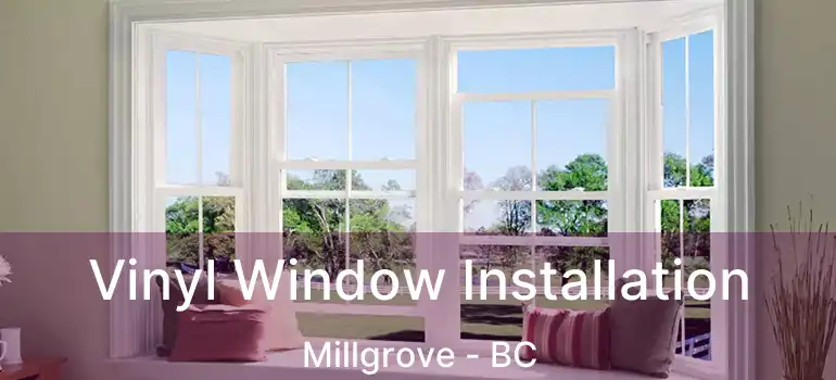  Vinyl Window Installation Millgrove - BC